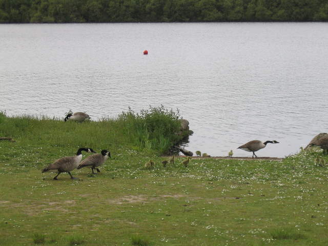 aldenham 027.jpg