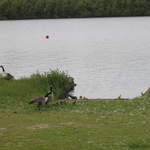 aldenham 028.jpg