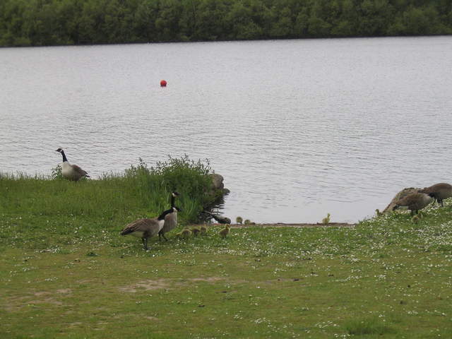 aldenham 028.jpg