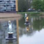 100_2446.JPG