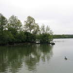aldenham 036.jpg
