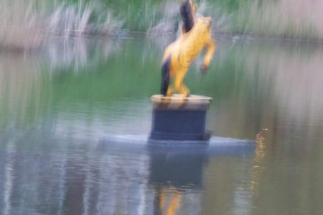 100_2444.JPG