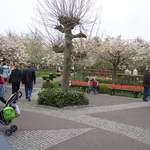 100_2523.JPG