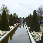 100_2524.JPG