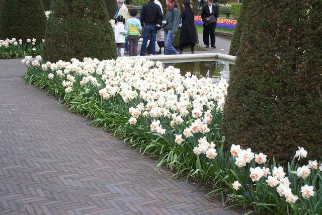 100_2526.JPG