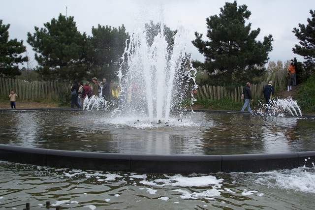 100_2528.JPG