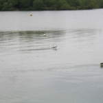 aldenham 038.jpg