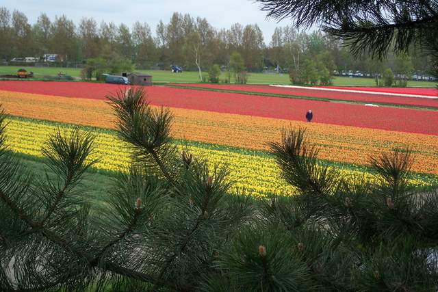100_2529.JPG