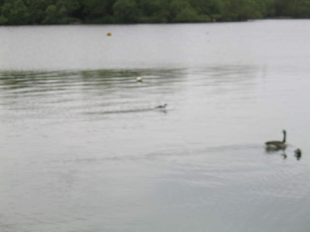 aldenham 038.jpg