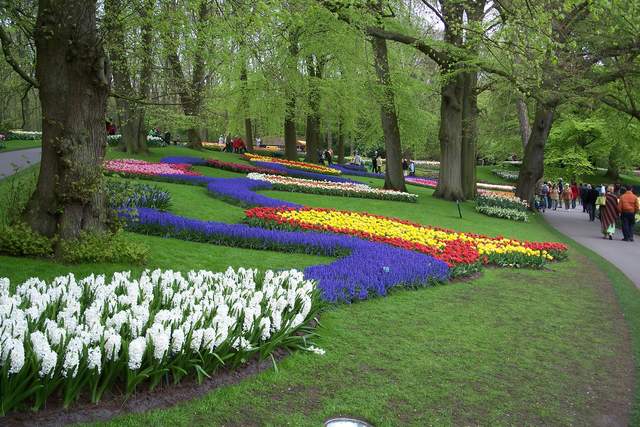 100_2539.JPG