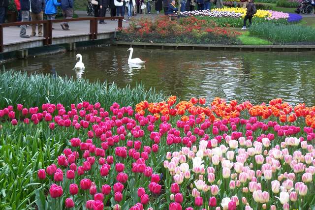 100_2549.JPG