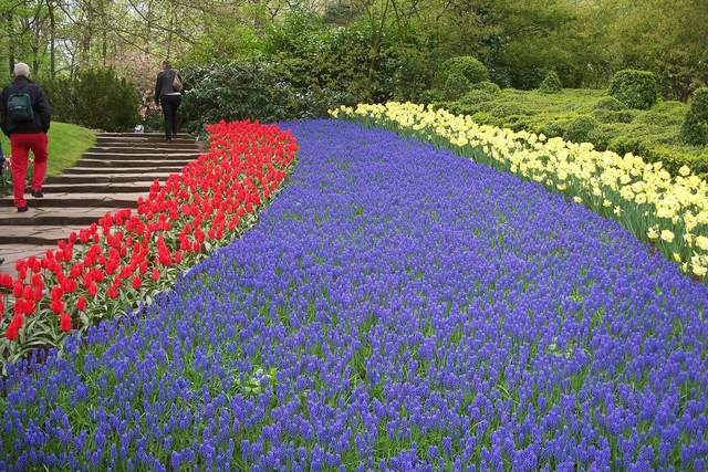 100_2452.JPG