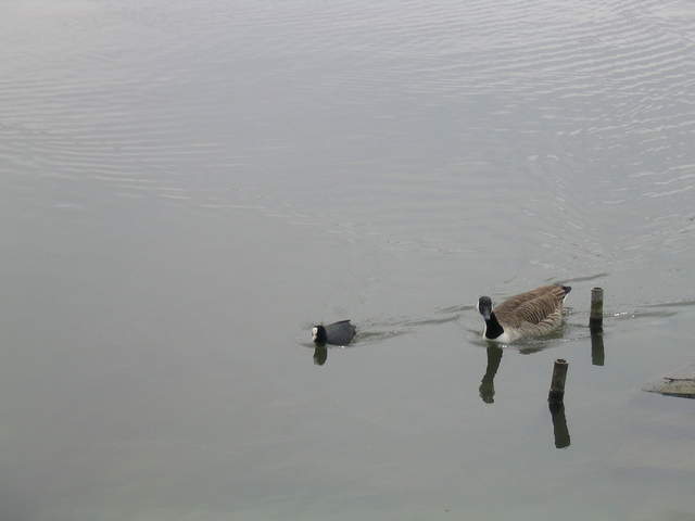 aldenham 040.jpg