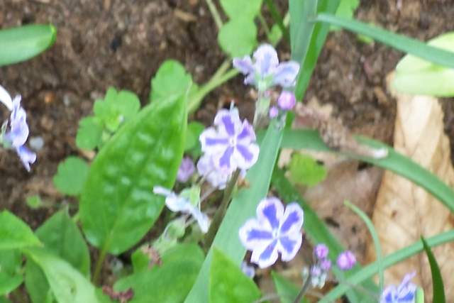 100_2475.JPG