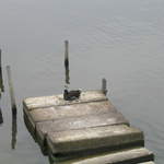 aldenham 044.jpg