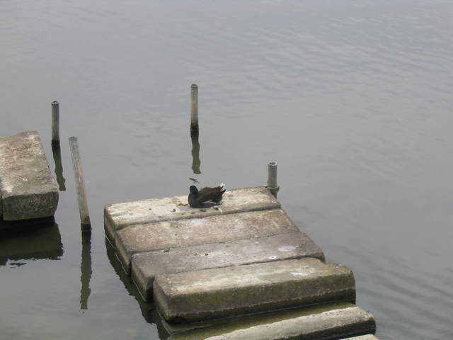 aldenham 044.jpg