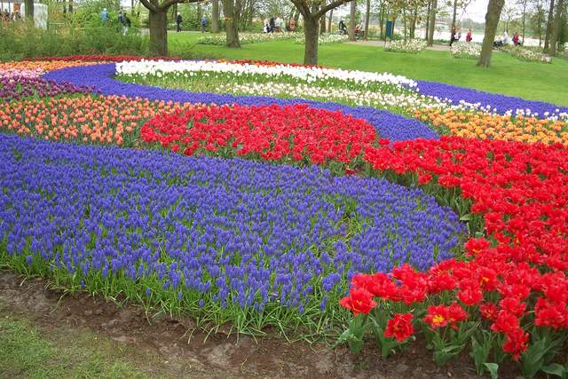 100_2494.JPG