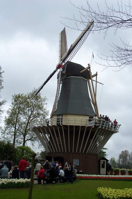 100_2496.JPG