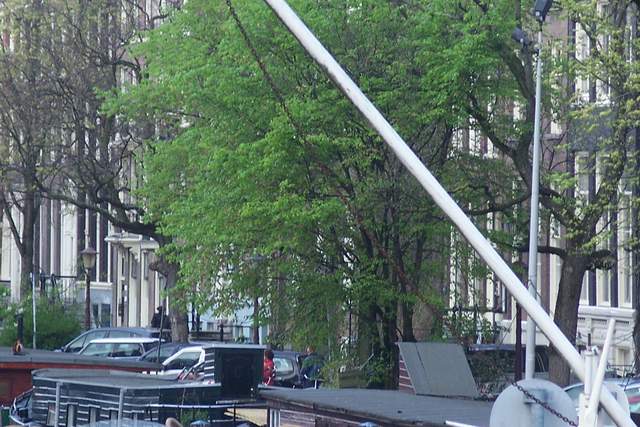 100_2553.JPG