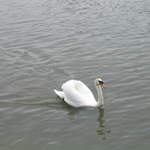 aldenham 047.jpg