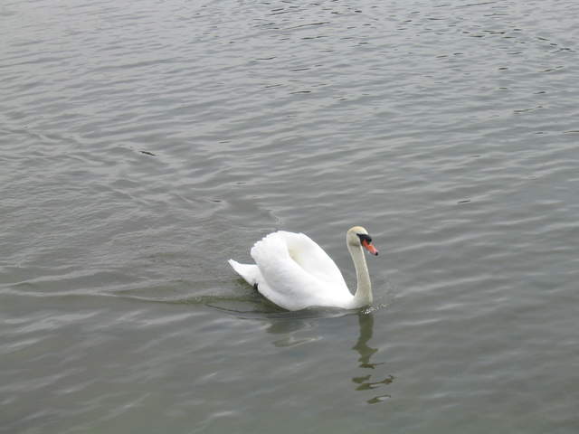 aldenham 047.jpg