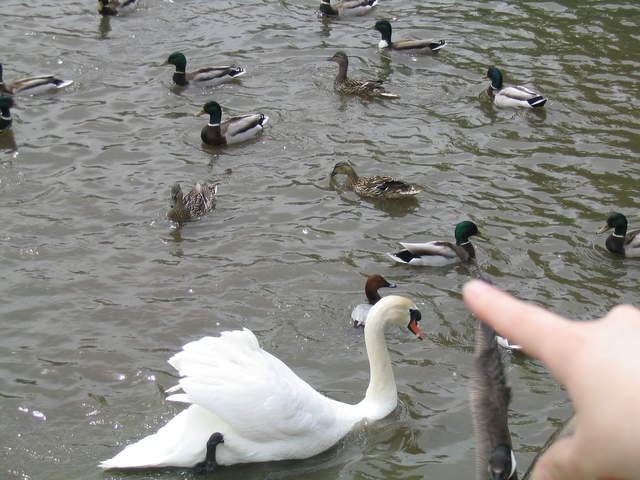 aldenham 048.jpg