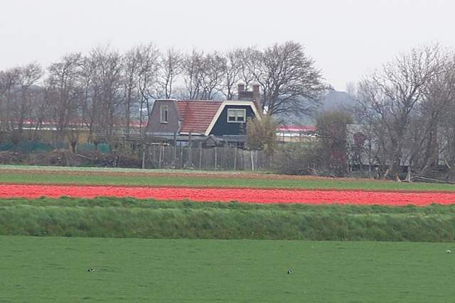100_2332.JPG