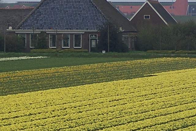 100_2337.JPG
