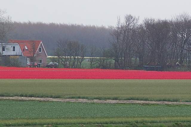 100_2343.JPG