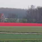 100_2343.JPG
