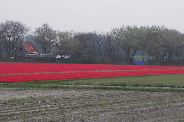 100_2345.JPG