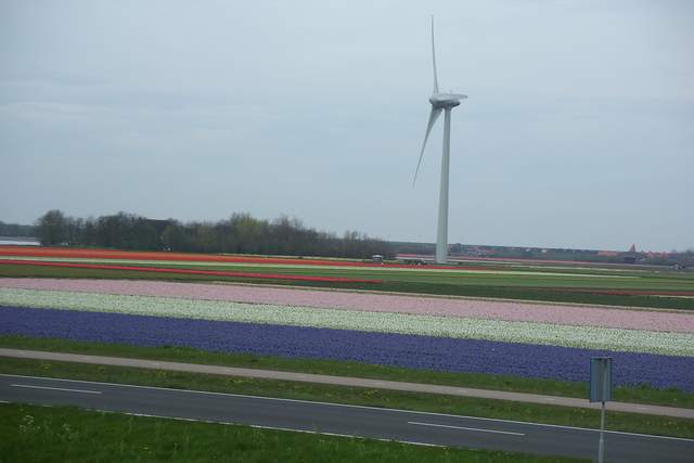 100_2350.JPG