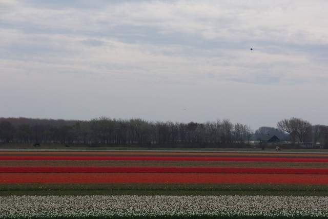 100_2355.JPG