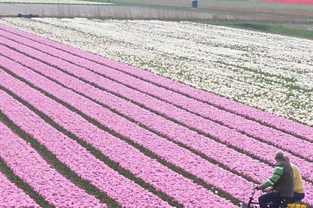 100_2361.JPG