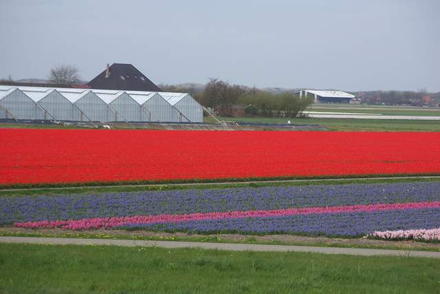 100_2367.JPG
