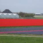 100_2367.JPG