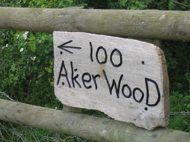 aldenham 049.jpg