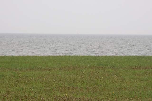 100_2399.JPG