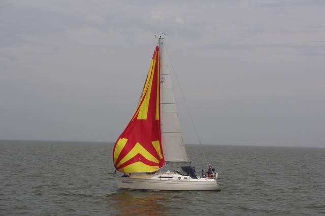 100_2401.JPG