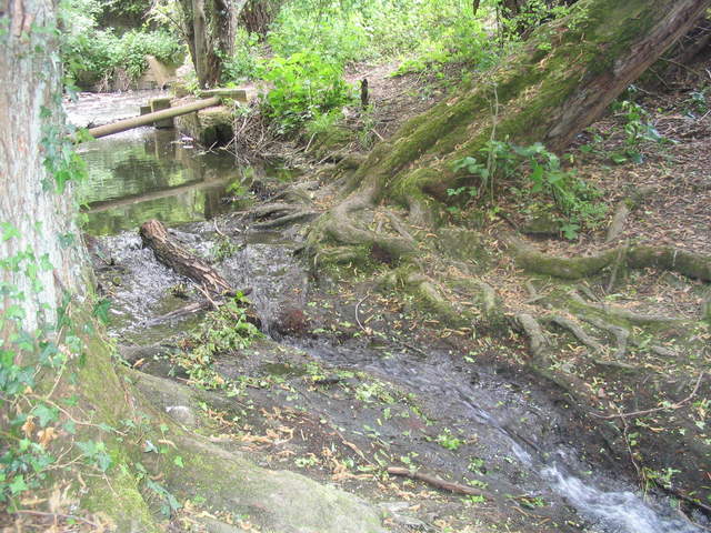 aldenham 052.jpg