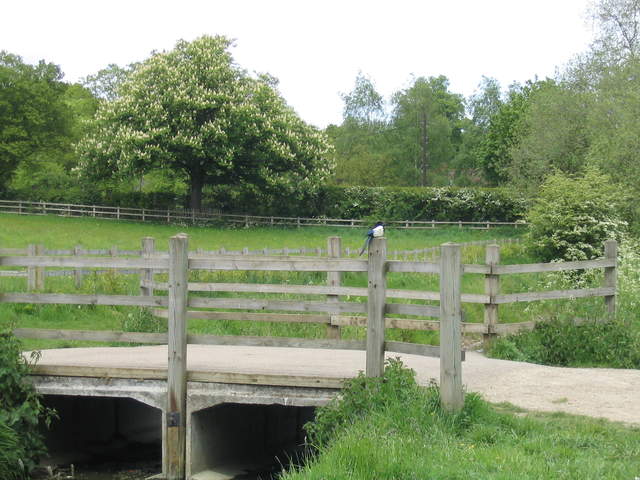 aldenham 056.jpg