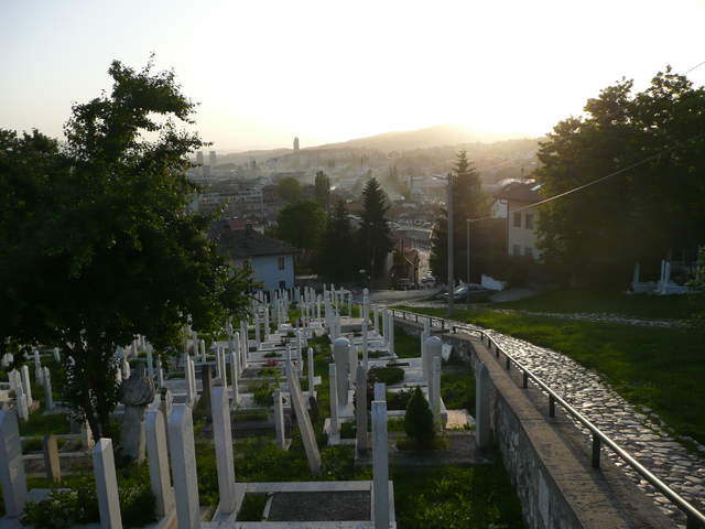 P1010232.JPG