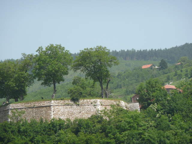 P1010241.JPG