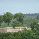 P1010241.JPG