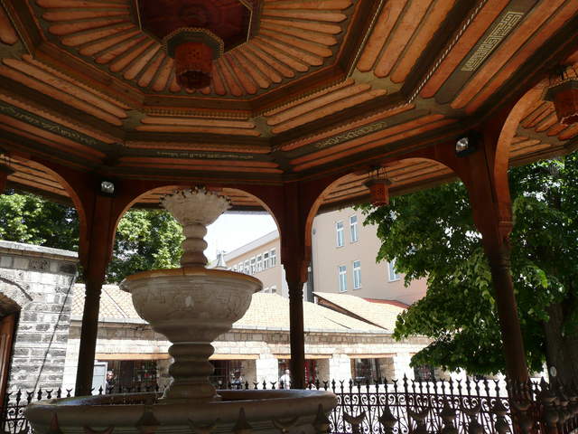 P1010244.JPG