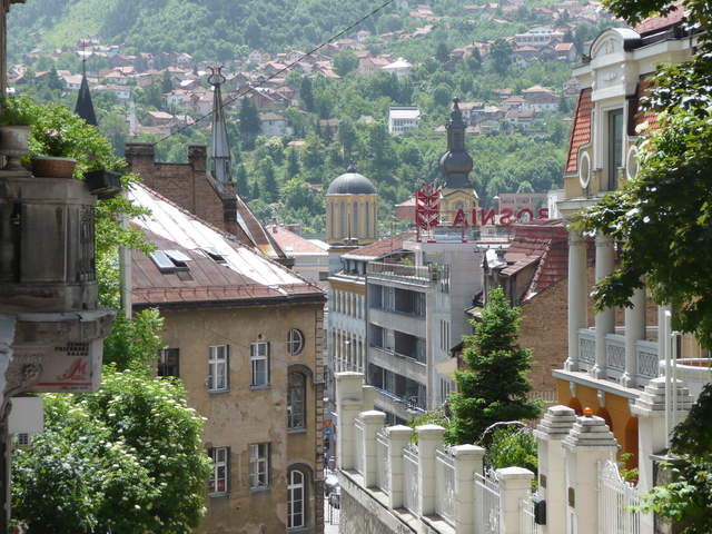 P1010247.JPG
