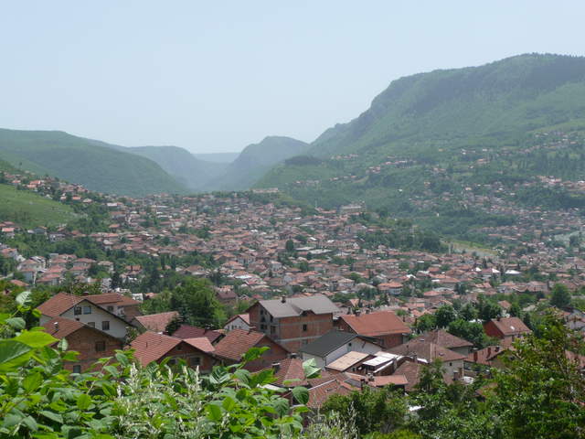 P1010248.JPG