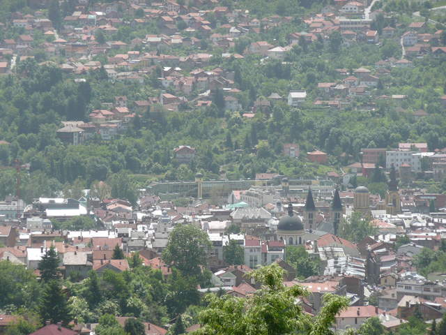 P1010250.JPG
