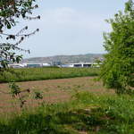 P1010253.JPG
