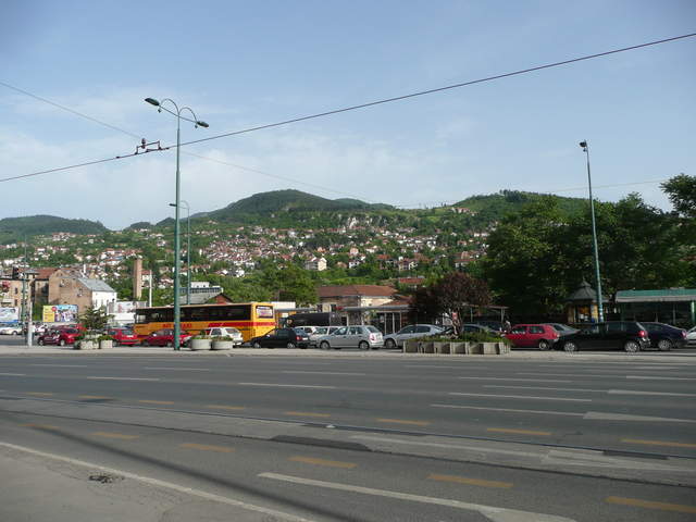 P1010271.JPG